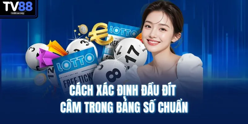 Cách xác định đầu đít câm trong bảng số chuẩn