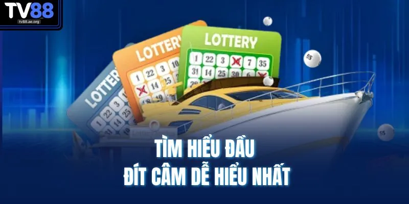 Tìm hiểu đầu đít câm dễ hiểu nhất