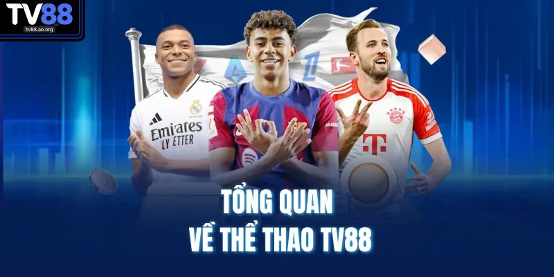 Tổng quan về thể thao TV88